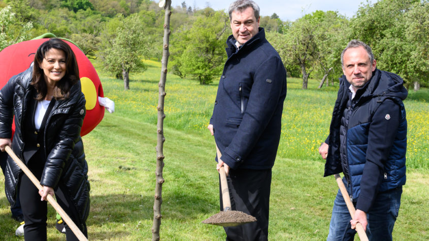 Landwirtschaftsministerin Michaela Kaniber, Ministerpräsident Dr. Markus Söder und Umweltminister Thorsten Glauber (v.l.n.r.) pflanzen zum Tag der Streuobstwiese einen Apfelbaum.